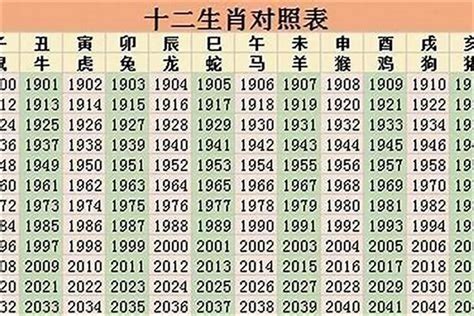 2025年 生肖|2025年生肖属什么？